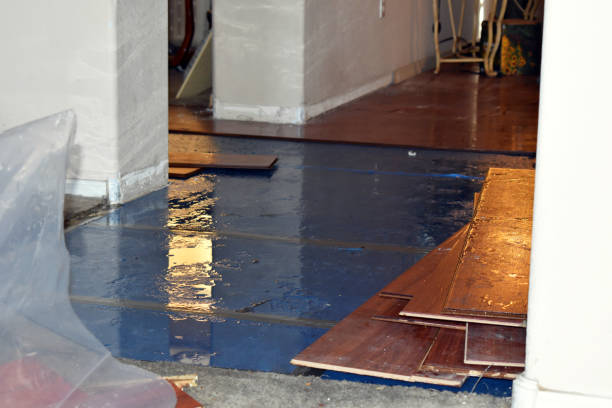Professional Water Extraction technician working in Ortonville, MI